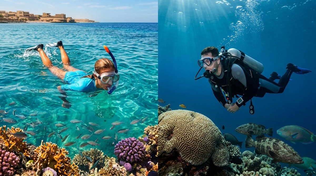 Snorkeling vs Scuba Diving in the Red Sea: Which Saudi Adventure Is Right for You?